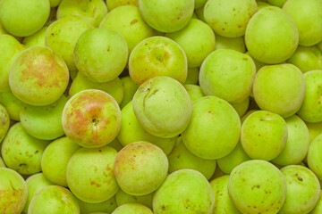 Japanese Plum Fruit Closeup