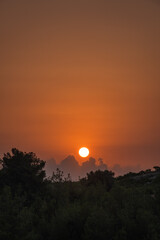 at sunrise over the trees. breaking dawn.