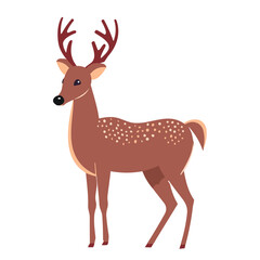 Cute deer isolated on white background. Vector illustration.