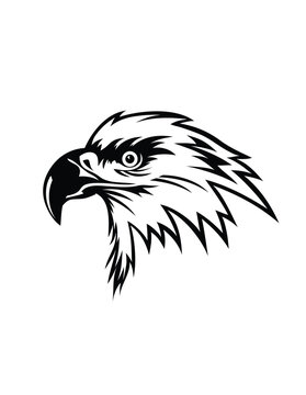Eagle Face Logo, art vector design

