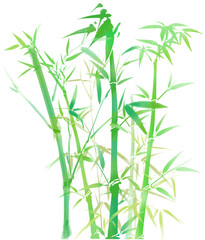 Bamboo 