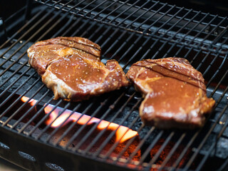 grilled meat on the grill