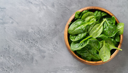 Fresh baby spinach leaves in wooden bowl on gray stone table. Top view, copy space