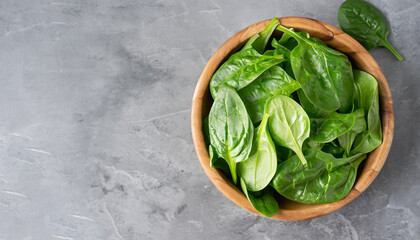 Fresh baby spinach leaves in wooden bowl on gray stone table. Top view, copy space