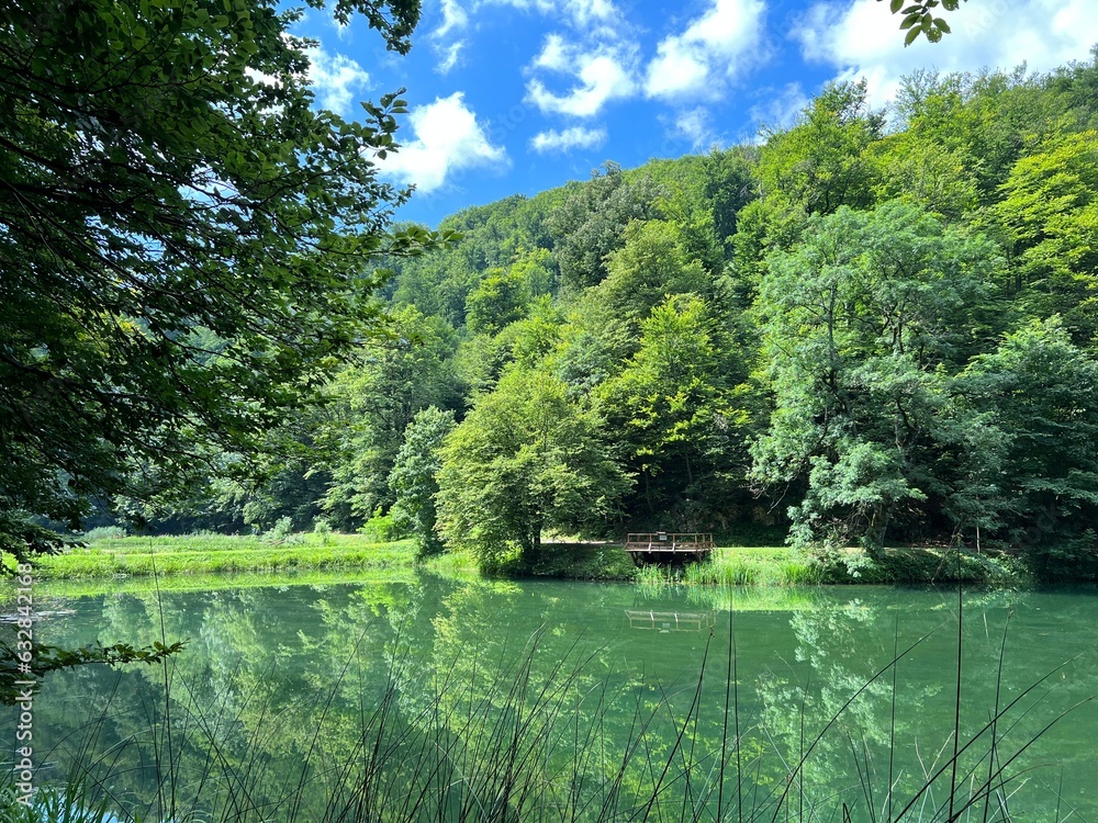 Wall mural artificial lakes in a park forest jankovac - papuk nature park, croatia (umjetna jezera u park šumi 