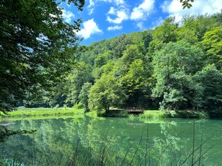 Obraz premium Artificial lakes in a Park forest Jankovac - Papuk nature park, Croatia (Umjetna jezera u Park šumi Jankovac - Park prirode Papuk, Hrvatska)