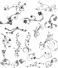 set of beautiful floral elements