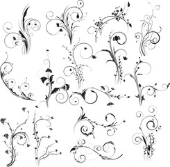 black and white floral background