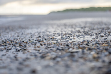 Muscheln am Strand