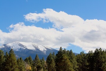 Mt. Humphreys in the winter with snow on top and a pine forest in the background, Flagstaff, Arizona.