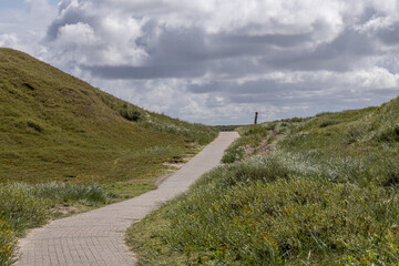 Weg in den Dünen von Norderney