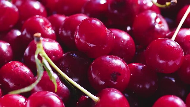 ripe cherries fall into a large pile of collected berries. ripe red cherry macro. berries macro. cherry on salt
