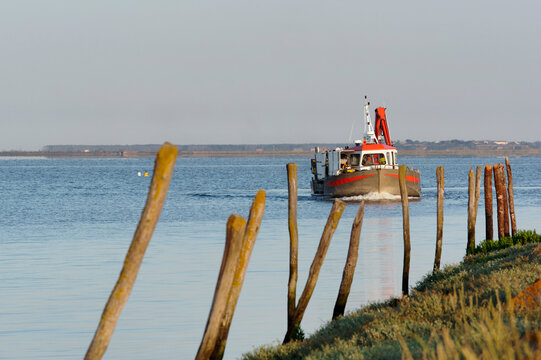 The Charron harbor in the Aiguillon bay. Charente-Maritime coast