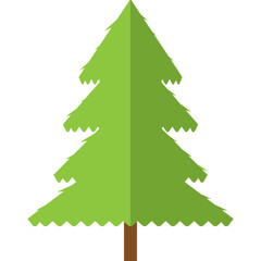 Pine Tree