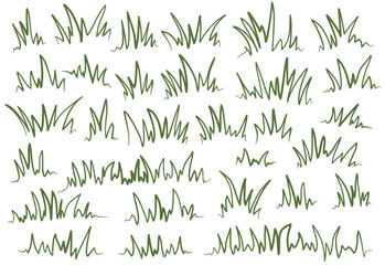 green grass. doodle grass illustration. grass lineart. grass outline illustration. set of handrawn grass. 