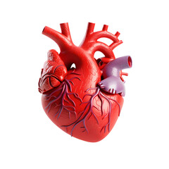3d Simulated heart