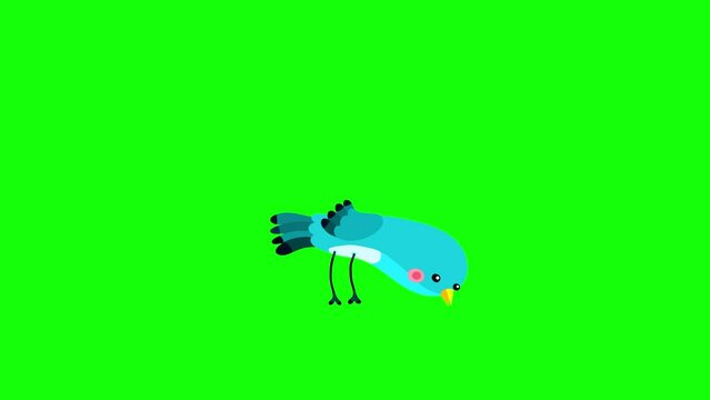 Nightingale bird blue cartoon animation character pecking eating green box. Blinking eyes seamless loop behaviour. 