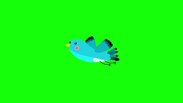 Nightingale bird blue cartoon animation character flying singing green box. Blinking eyes seamless loop behaviour.