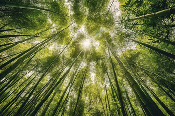 Fototapeta na wymiar Towering bamboo leaves forming a dense green canopy, Leaves Watercolor, 