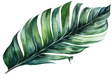 Captivating watercolor green large palm leaf standing out on a clean white background, Leaves Watercolor, 