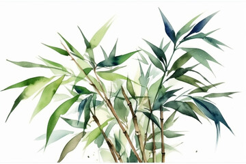 Serene composition of watercolor green bamboo leaves against a white background, Leaves Watercolor, 