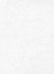 Fototapeta premium Texture d'Emballage en Plastique Transparent en .png pour Conceptions Créatives