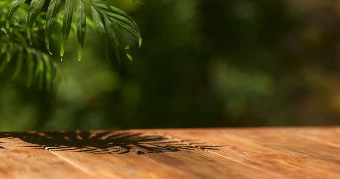 Mockup wooden table outside in summer, palm, splash water. 