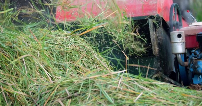 Close-up slow-motion shot of compact thresher in action, rice straw flying as the machine separates grain from the plants. Old machine powered by rumbling gasoline engine
