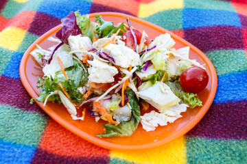 Healthy fresh bowl of salad on a picnic rug