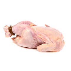 Chicken Gherkin Halal on a white background