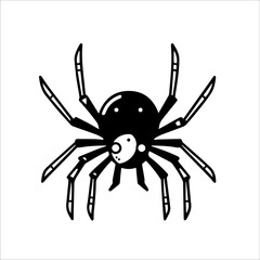 halloween spider illustration 