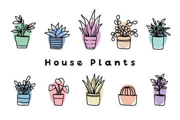 鉢植え観葉植物セット