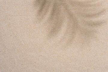 Fototapeta na wymiar Aesthetic Palm Leaf on Shadow on Sand Background Texture, Copy Space, Minimal Summer Concept