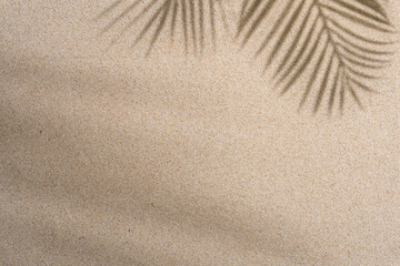 Aesthetic Palm Leaf on Shadow on Sand Background Texture, Copy Space, Minimal Summer Concept