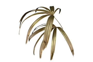 Golden palm leaf PNG on transparent background Abstract monstera leaf decoration design, PNG