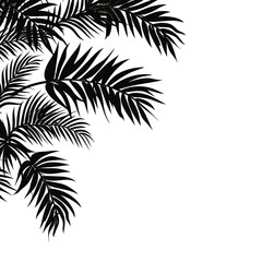 Fototapeta premium White Background With Black Outline Drawing Palm Leaves Cartoon, 2D, Black And White. Generative AI
