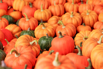 Pile of bright orange green pink colored varieties of pumpkins for sale in daylight