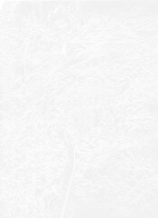 Rendu de Texture d'Emballage en Plastique Transparent .png arrière plan