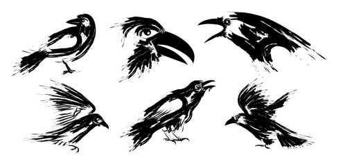 Set of Black Crows. Raven. Blackbird  sketch vector illustration.