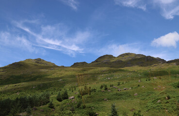 Fototapeta premium Highland greens characteristic Scottish landscape United Kingdom-