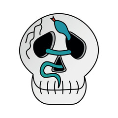 Skull icon with snake. Vector illustration isolated on white background