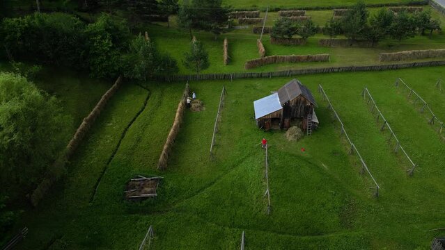 Bucovina village, peasantry works on the field