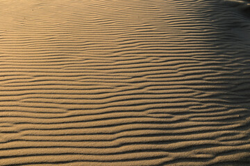 Texture of the white sand of a beach on the island of Fuerteventura. Fuerteventura, Canary Islands, Spain