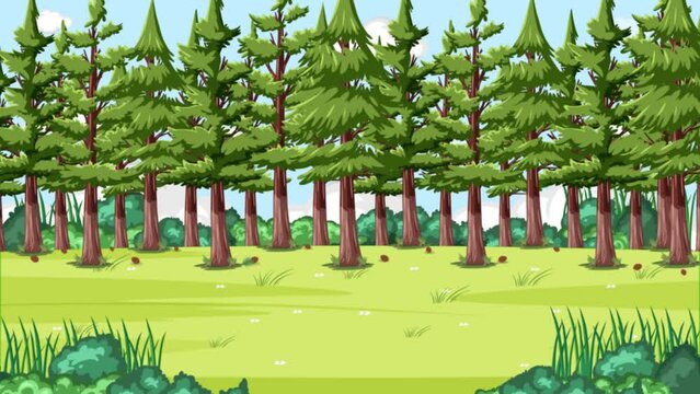 Biological education animation showcasing the life cycle of a pine tree on a forest background.