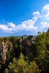 Elbsandsteingebirge in saxonia with tree in foreground