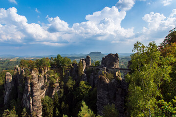 Elbsandsteingebirge in saxonia with tree in foreground