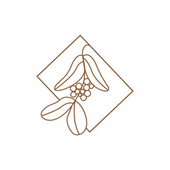 Coffee Logo Design, Coffee Tree Drink Vector, Template Symbol Illustration