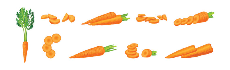 Carrot as Orange Root Vegetable Whole and Sliced Vector Set - obrazy, fototapety, plakaty