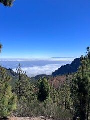 Tenerife, Iles canaries, Espagne