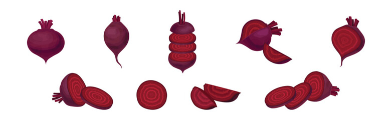 Beetroot or Garden Beet Cut and Chopped Vector Set